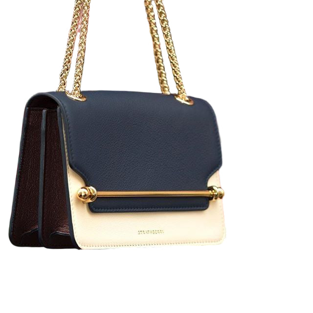 Clutch with Chain Handles